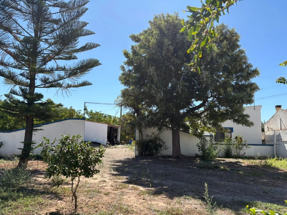 Quinta T0 para Venda em Palmela Foto 23