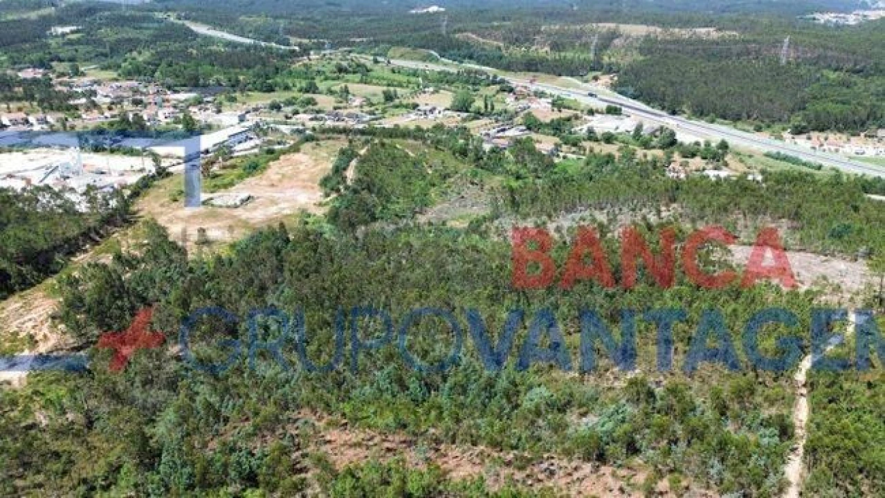 Terreno Agricola ou Rústico para Venda em São Martinho do Bispo e Ribeira de Frades Foto 3
