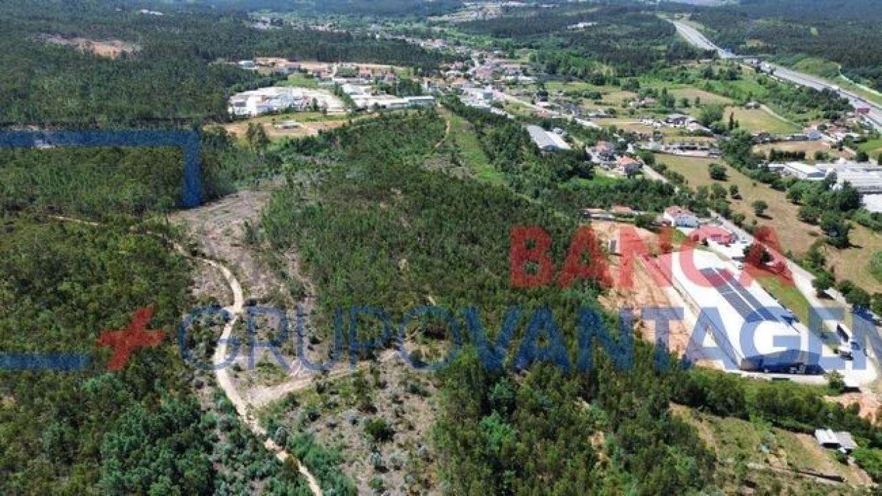 Terreno Agricola ou Rústico para Venda em São Martinho do Bispo e Ribeira de Frades Foto 4
