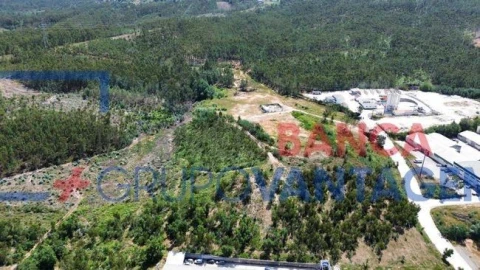 Terreno Agricola ou Rústico para Venda em São Martinho do Bispo e Ribeira de Frades