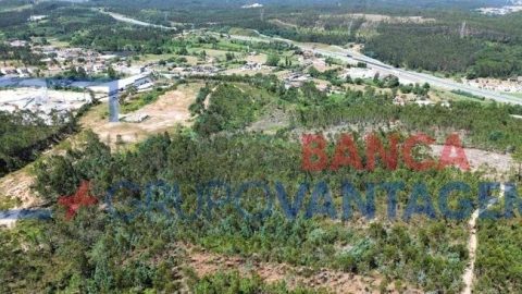 Terreno Agricola ou Rústico para Venda em São Martinho do Bispo e Ribeira de Frades
