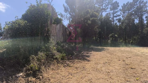 Moradia T2 para Venda em Vau