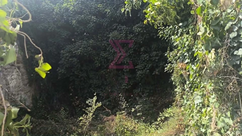 Moradia T2 para Venda em Vau