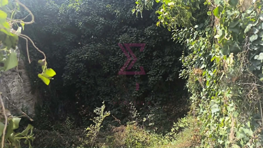 Moradia T2 para Venda em Vau Foto 3