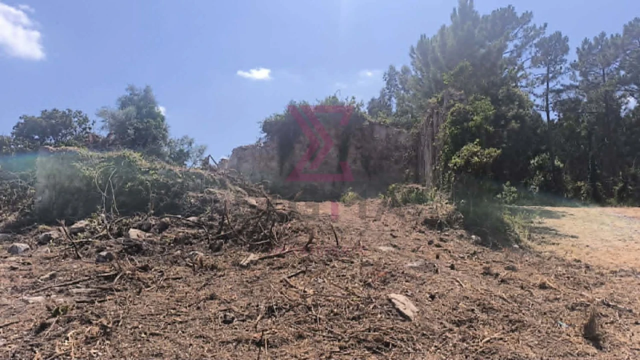 Moradia T2 para Venda em Vau Foto 16