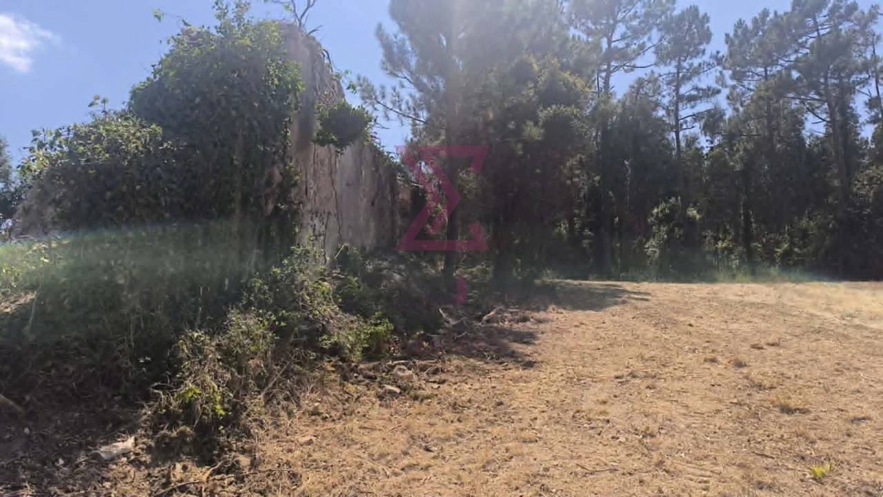 Moradia T2 para Venda em Vau Foto 19