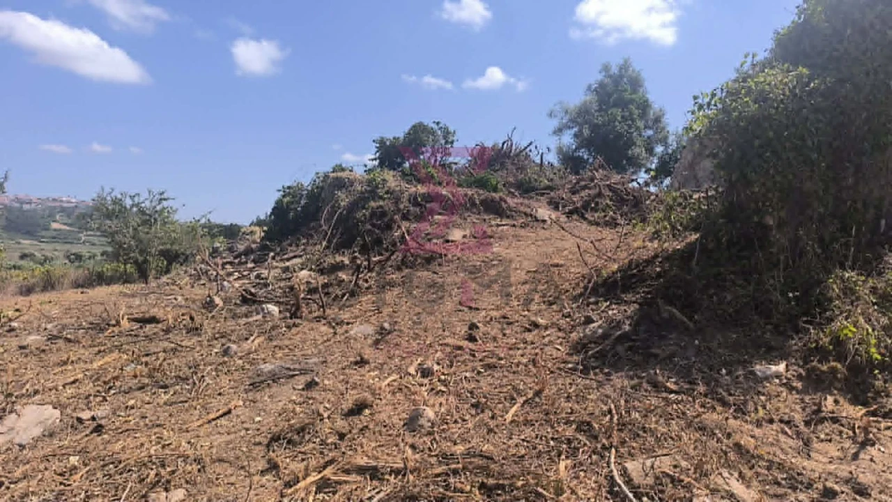 Moradia T2 para Venda em Vau Foto 18