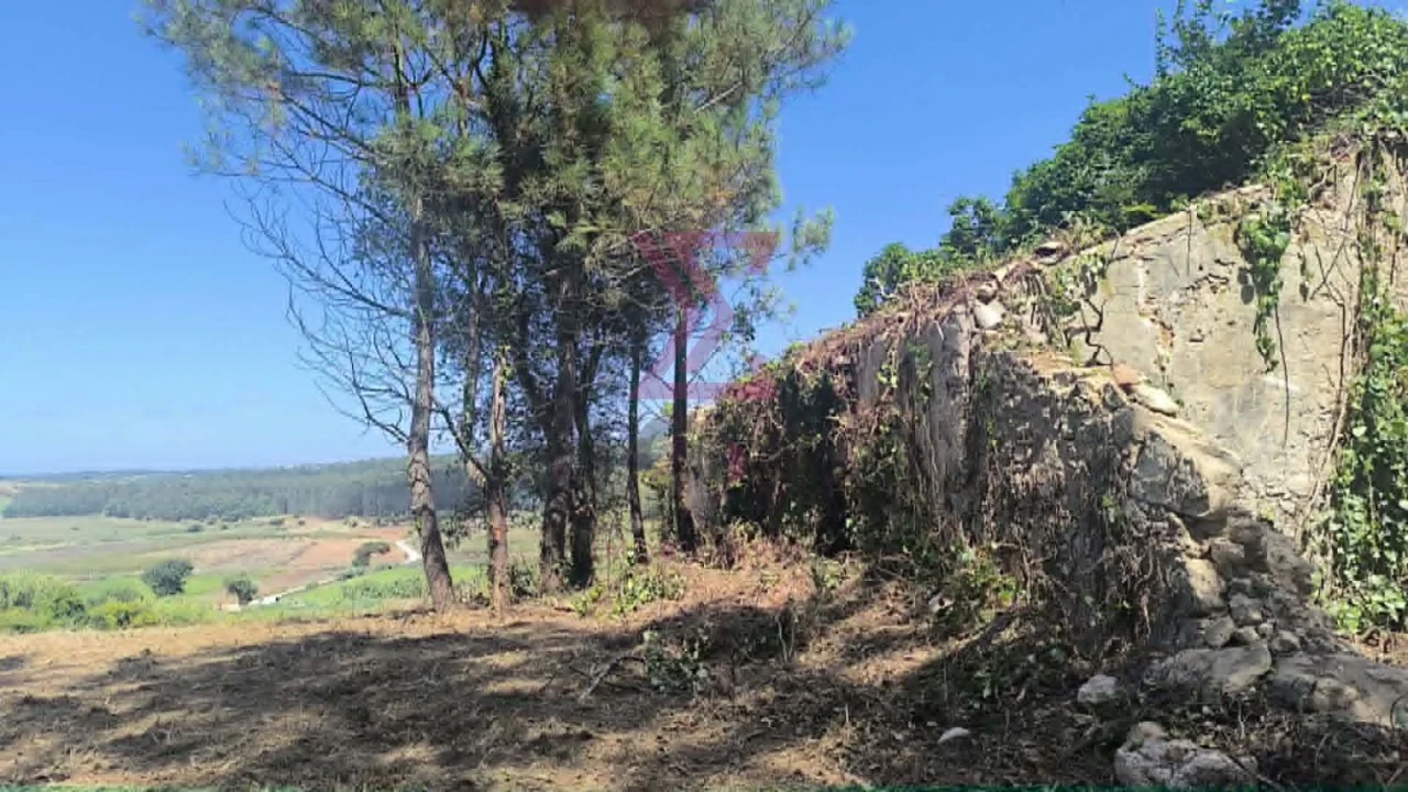 Moradia T2 para Venda em Vau Foto 5