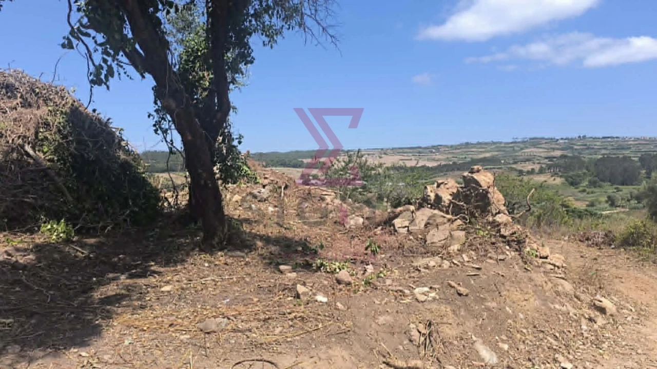 Moradia T2 para Venda em Vau Foto 8