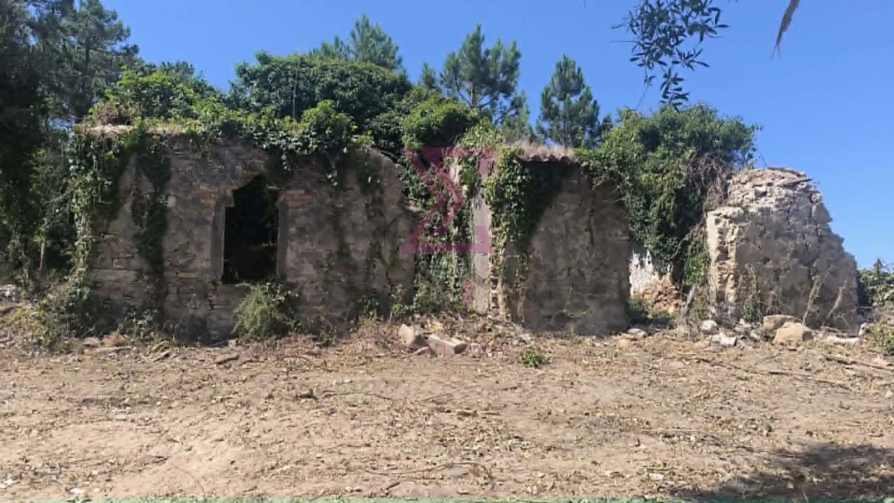 Moradia T2 para Venda em Vau Foto 1