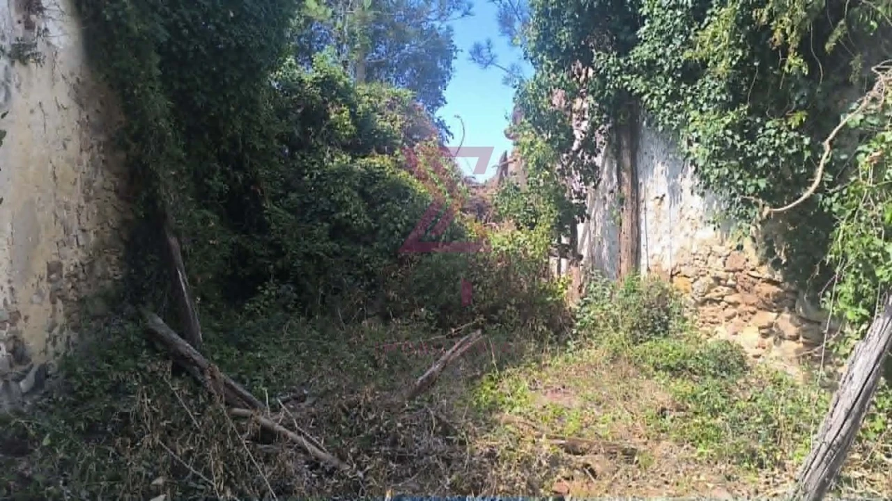Moradia T2 para Venda em Vau Foto 4