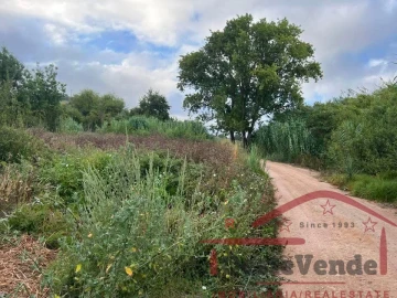 Terreno para Venda em Cadaval e Pêro Moniz