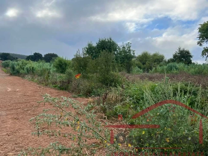 Terreno para Venda em Cadaval e Pêro Moniz Foto 2