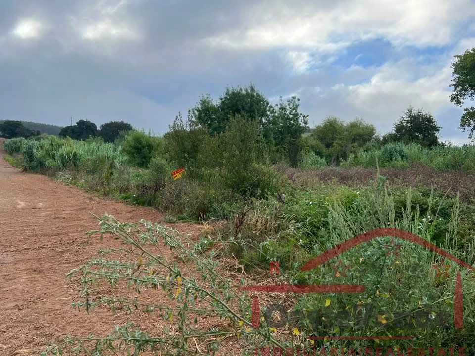 Terreno para Venda em Cadaval e Pêro Moniz Foto 2
