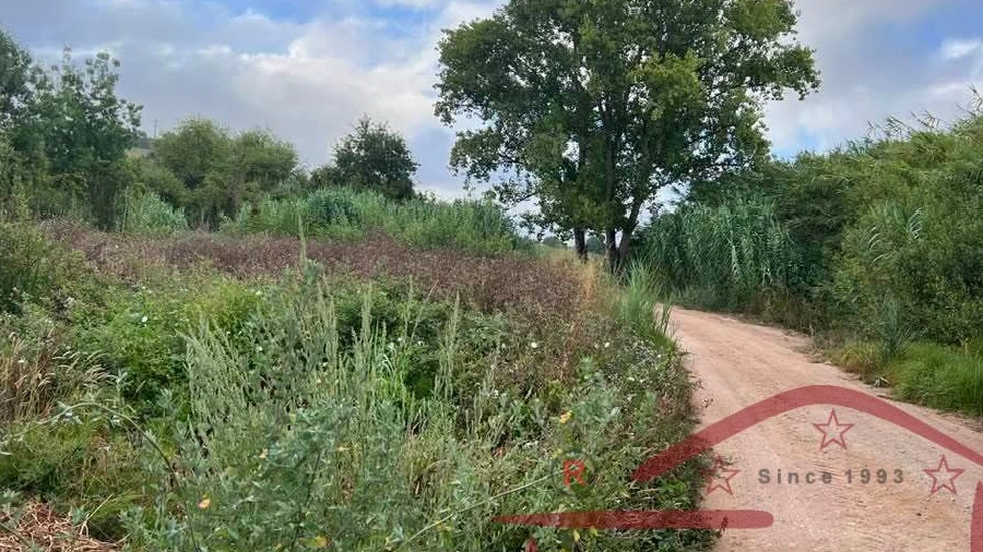 Terreno para Venda em Cadaval e Pêro Moniz