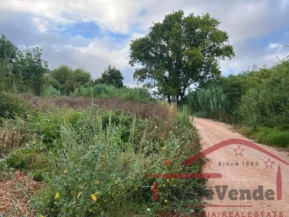 Terreno para Venda em Cadaval e Pêro Moniz Foto 1