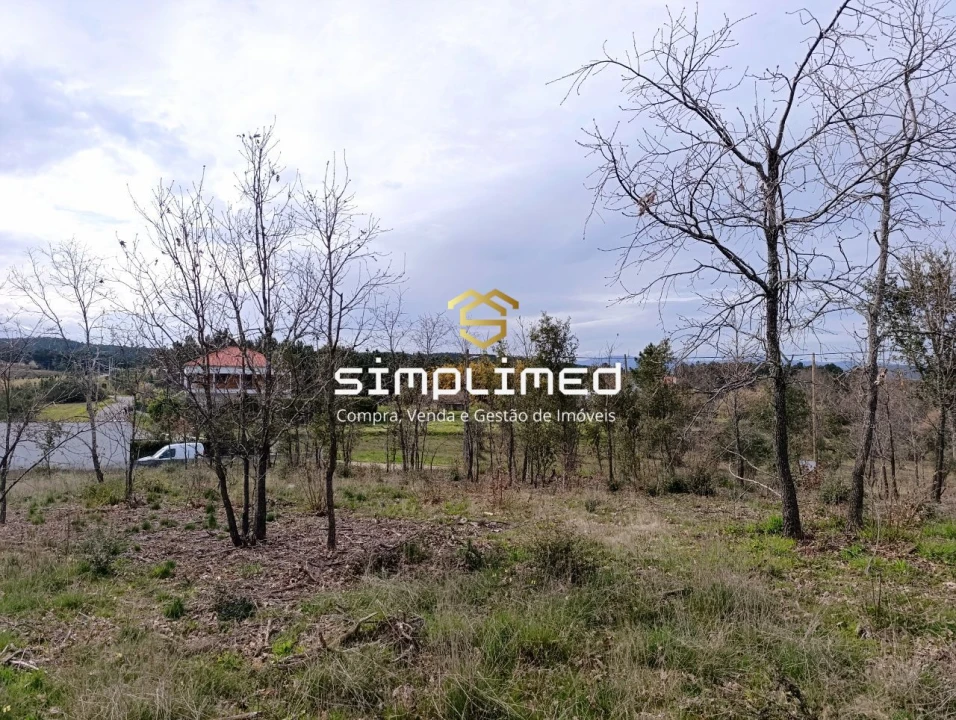 Terreno para Venda em Enxames Foto 15