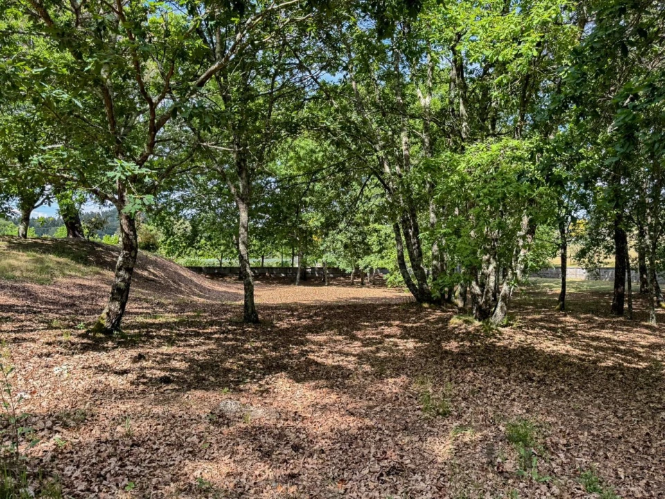 Terreno para Venda em Rio de Loba Foto 47