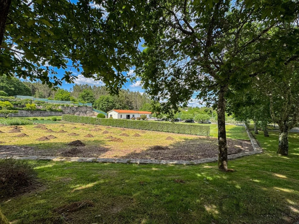 Terreno para Venda em Rio de Loba Foto 21