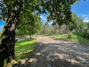 Terreno para Venda em Rio de Loba