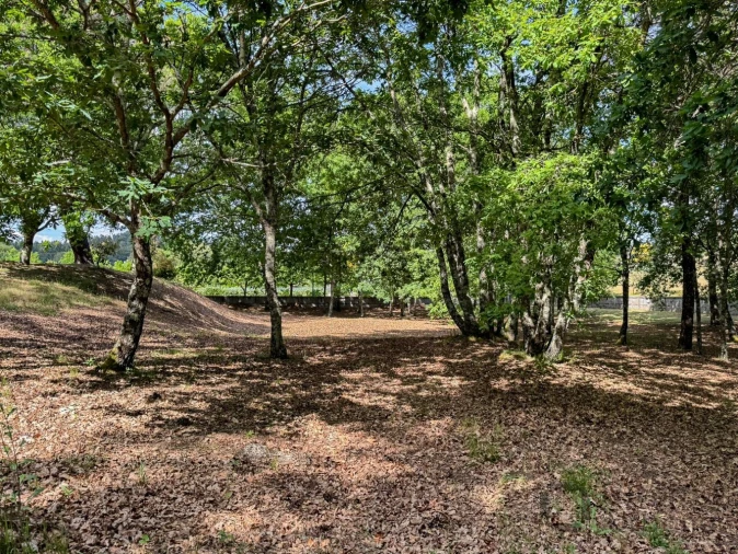 Terreno para Venda em Rio de Loba Foto 47