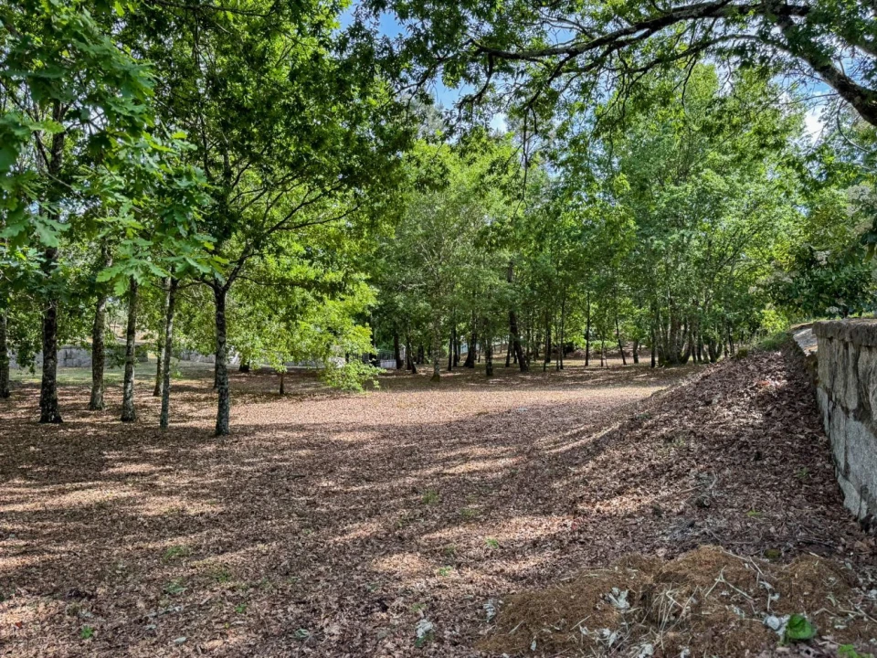 Terreno para Venda em Rio de Loba Foto 32
