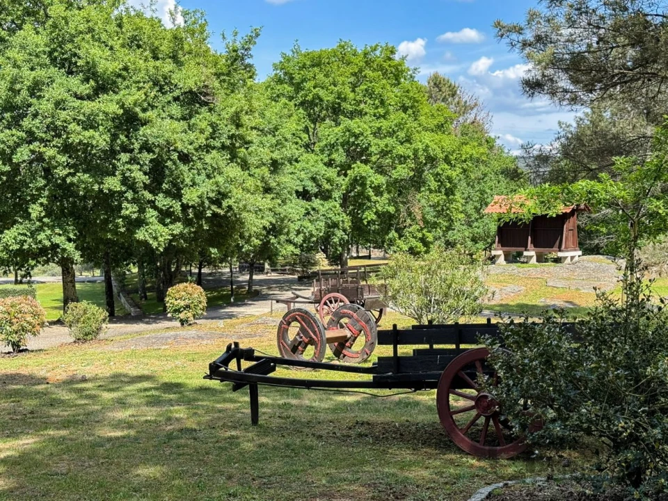 Terreno para Venda em Rio de Loba Foto 10