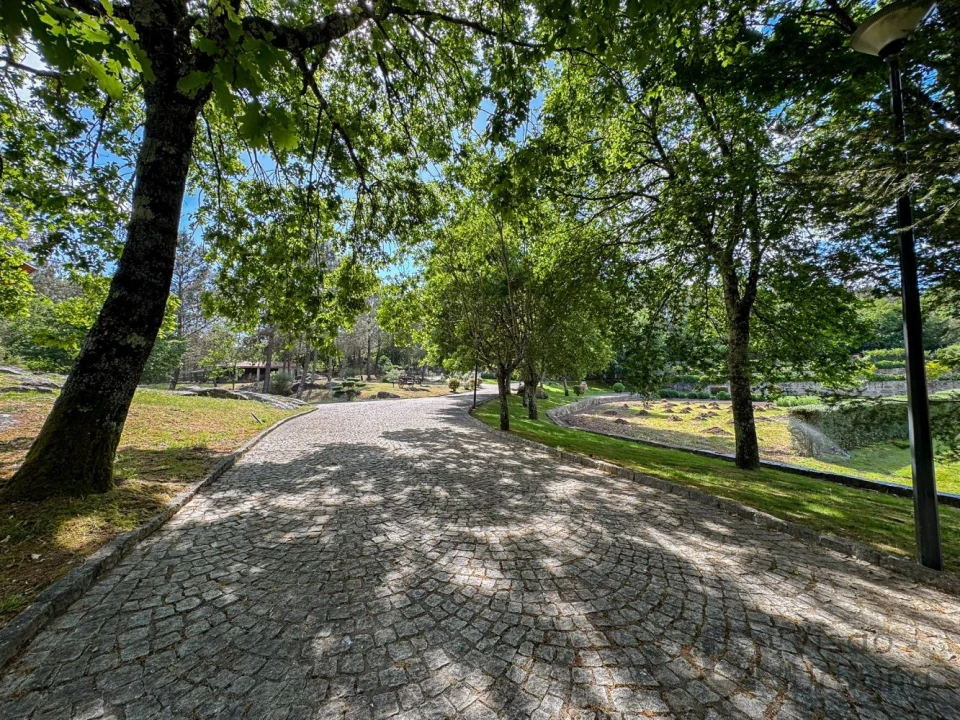 Terreno para Venda em Rio de Loba Foto 27
