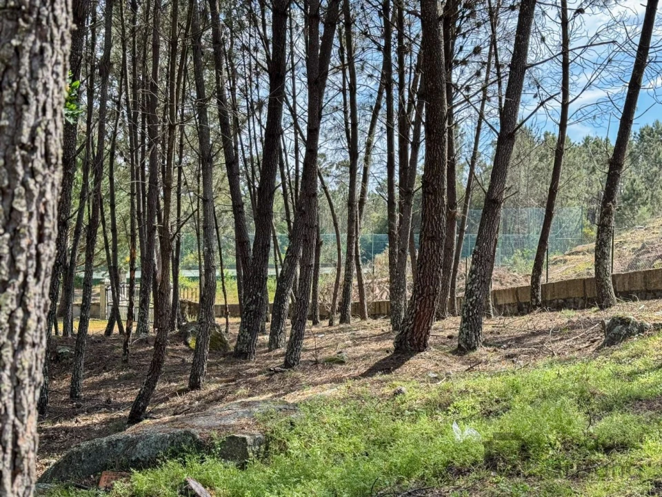 Terreno para Venda em Rio de Loba Foto 9
