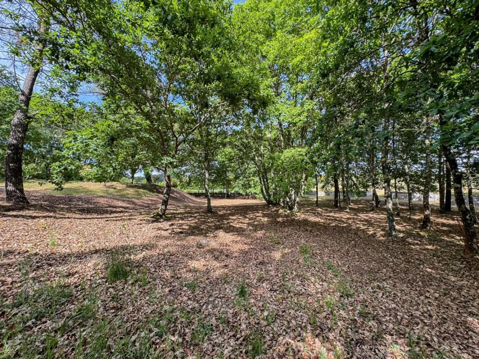 Terreno para Venda em Rio de Loba Foto 46