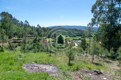 Terreno para Venda em Rubiães