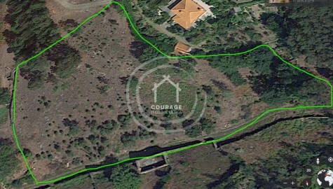 Terreno para Venda em Rubiães