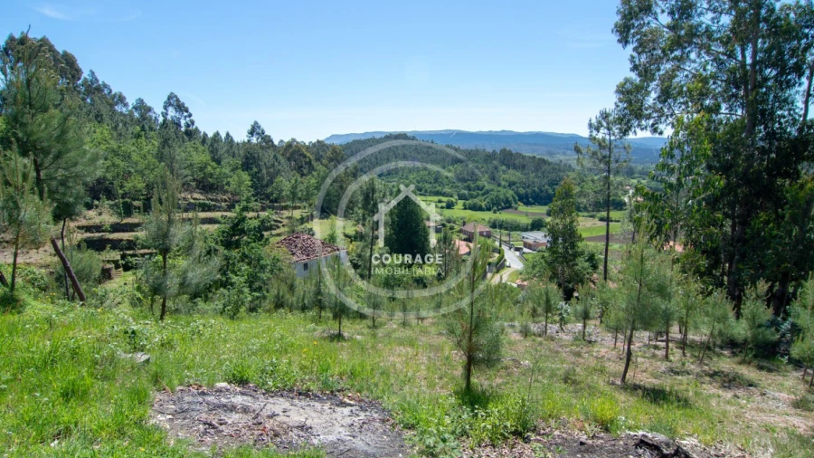 Terreno para Venda em Rubiães