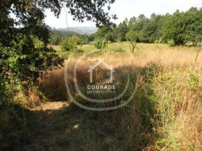 Terreno para Venda em Agualonga Foto 23