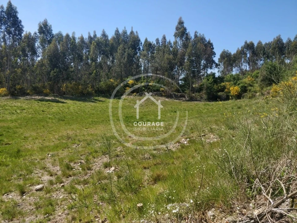 Terreno para Venda em Cossourado e Linhares Foto 12