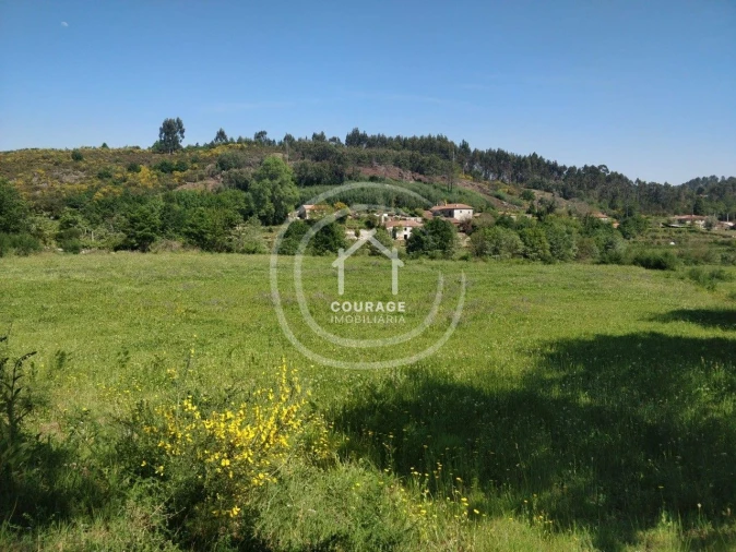 Terreno para Venda em Cossourado e Linhares Foto 14