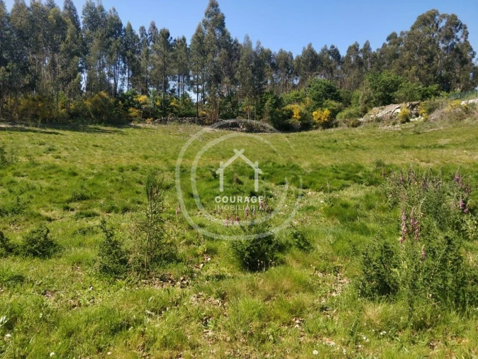 Terreno para Venda em Cossourado e Linhares Foto 10