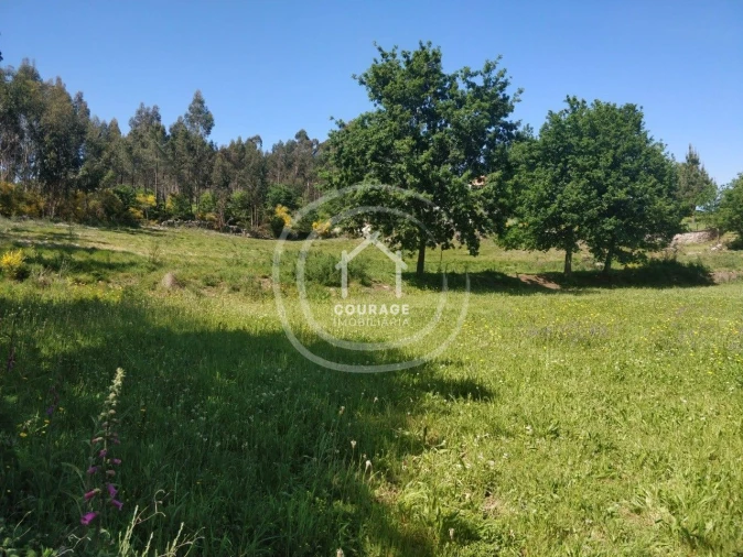 Terreno para Venda em Cossourado e Linhares Foto 13
