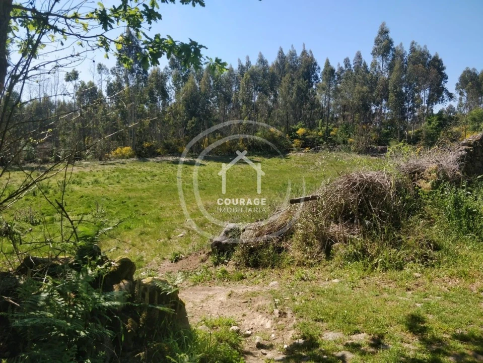 Terreno para Venda em Cossourado e Linhares Foto 21