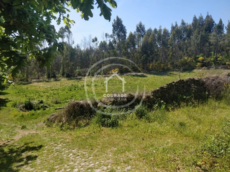 Terreno para Venda em Cossourado e Linhares Foto 23