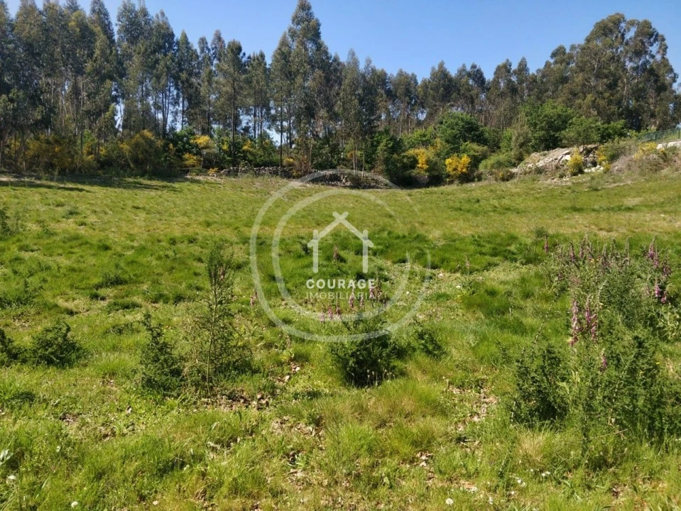 Terreno para Venda em Cossourado e Linhares Foto 22
