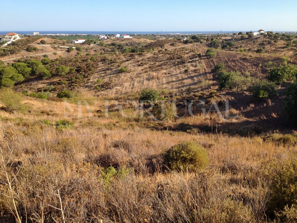Terreno Agricola ou Rústico para Venda em Altura Foto 1