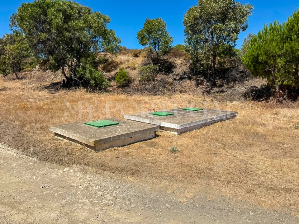 Terreno Agricola ou Rústico para Venda em Altura Foto 3