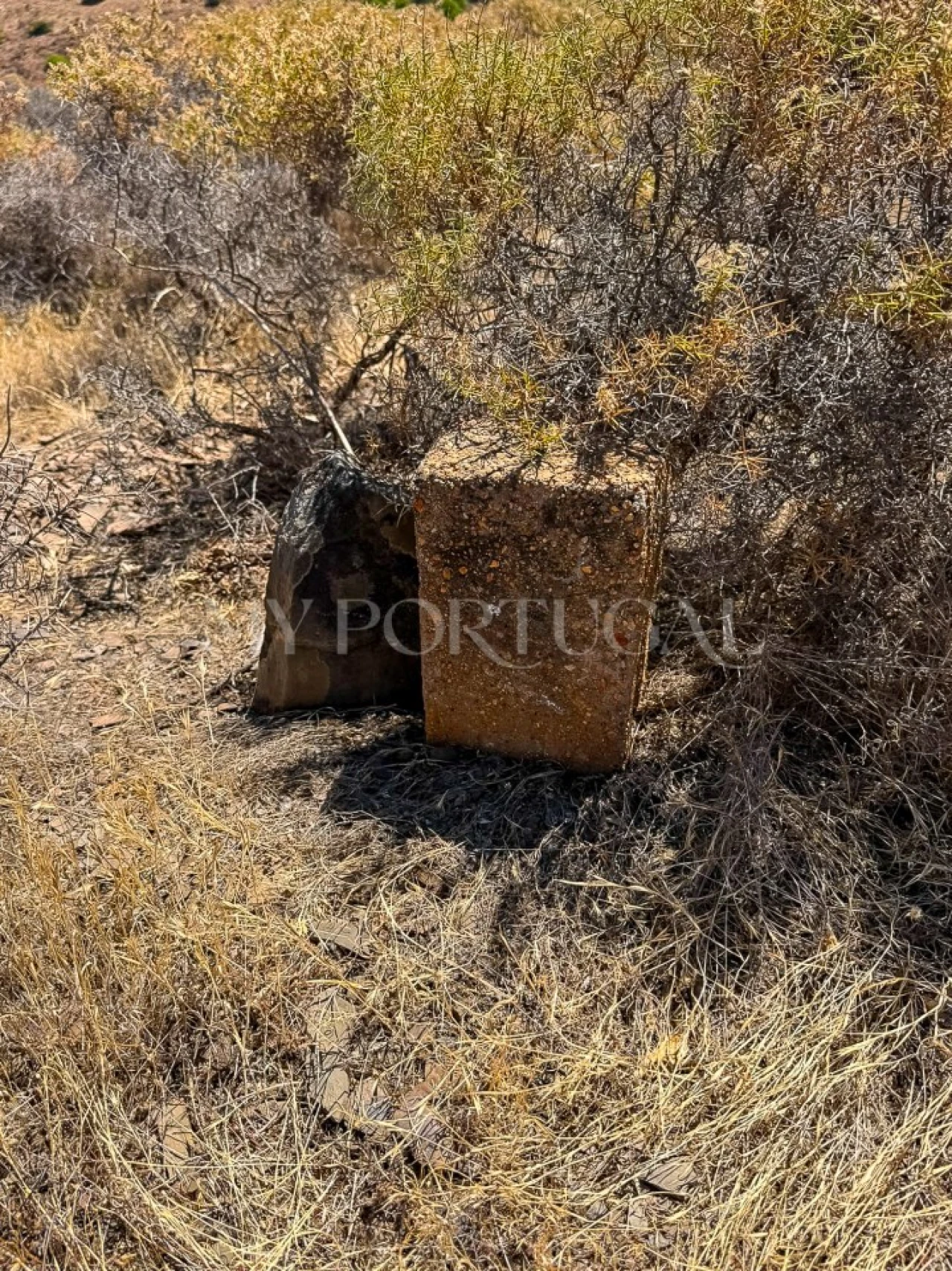 Terreno Agricola ou Rústico para Venda em Altura Foto 9