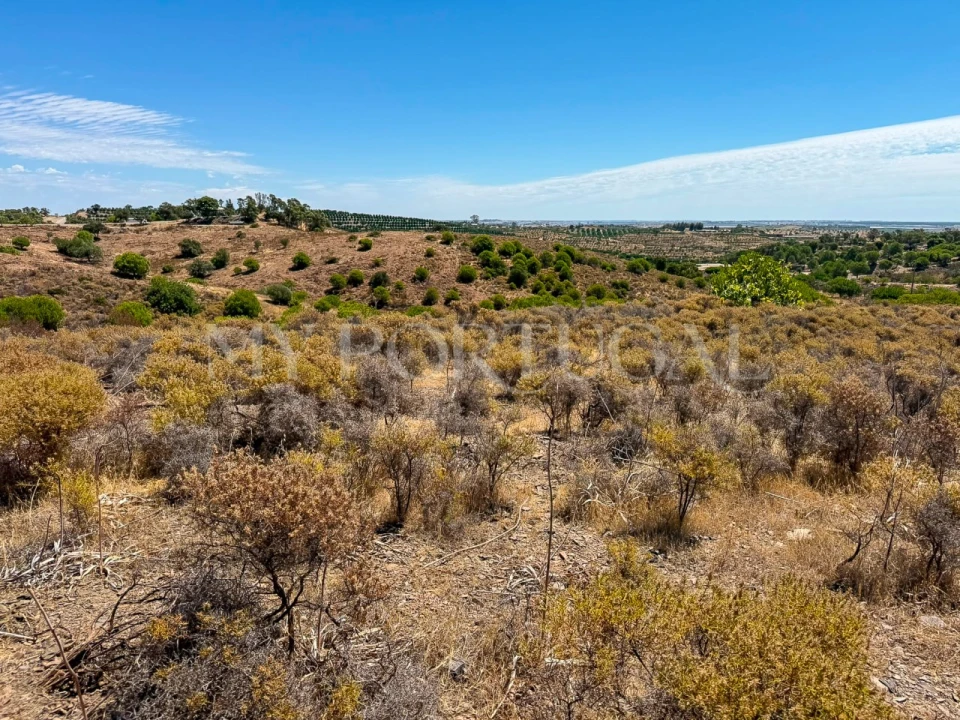 Terreno Agricola ou Rústico para Venda em Altura Foto 10