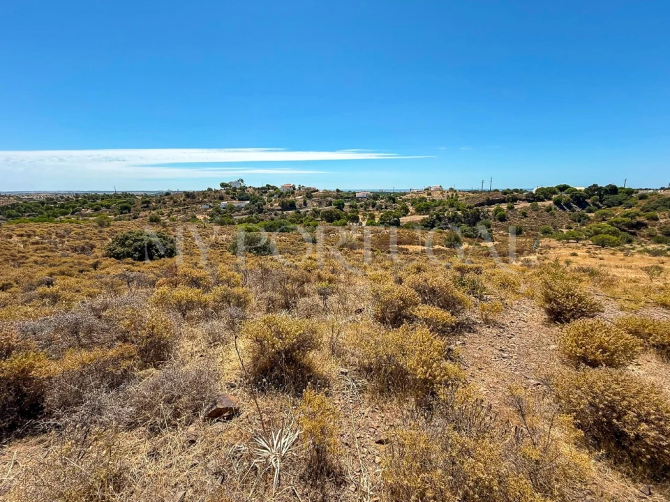 Terreno Agricola ou Rústico para Venda em Altura Foto 16