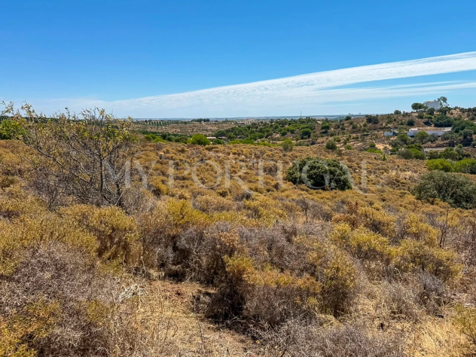 Terreno Agricola ou Rústico para Venda em Altura Foto 17