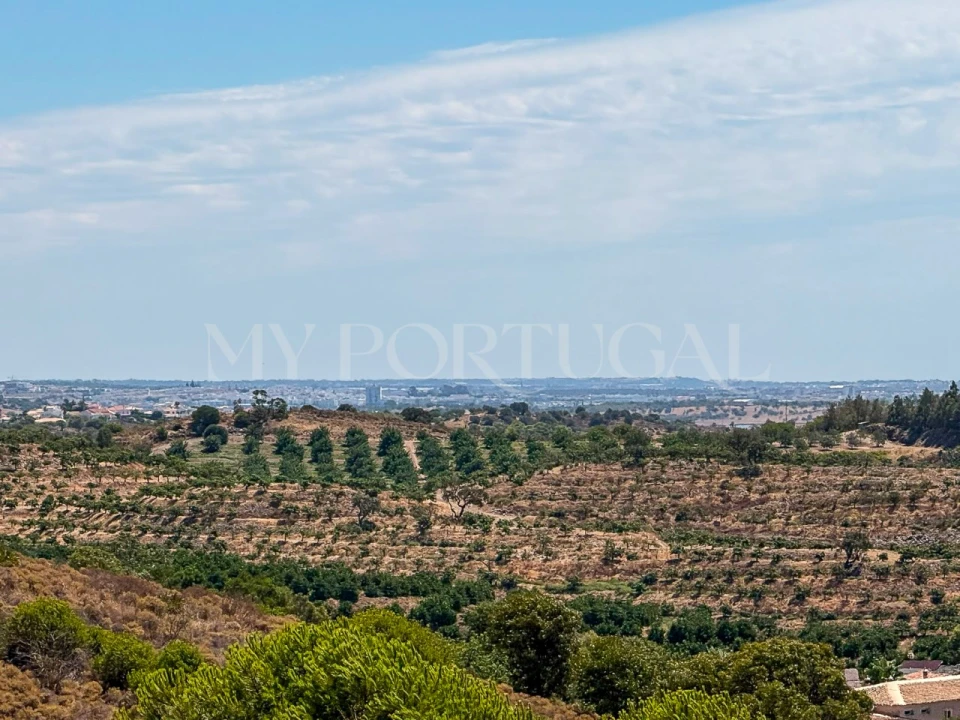 Terreno Agricola ou Rústico para Venda em Altura Foto 19