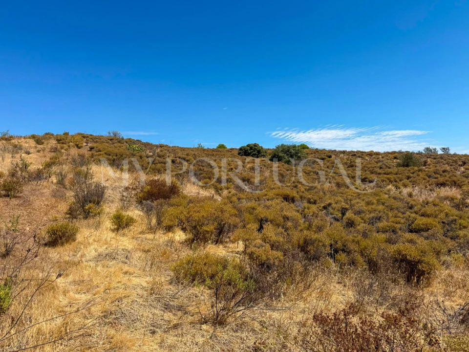 Terreno Agricola ou Rústico para Venda em Altura Foto 26