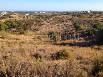 Terreno Agricola ou Rústico para Venda em Altura
